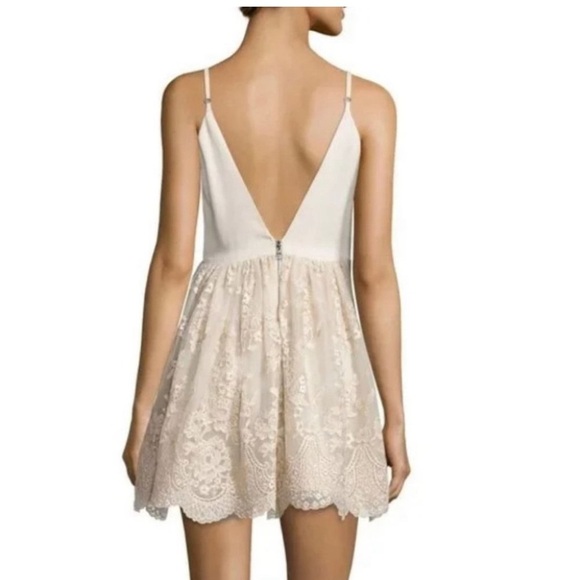 Alice + Olivia Beige Antique Gold Lace Julianne Ballerina Dress - Picture 2 of 3